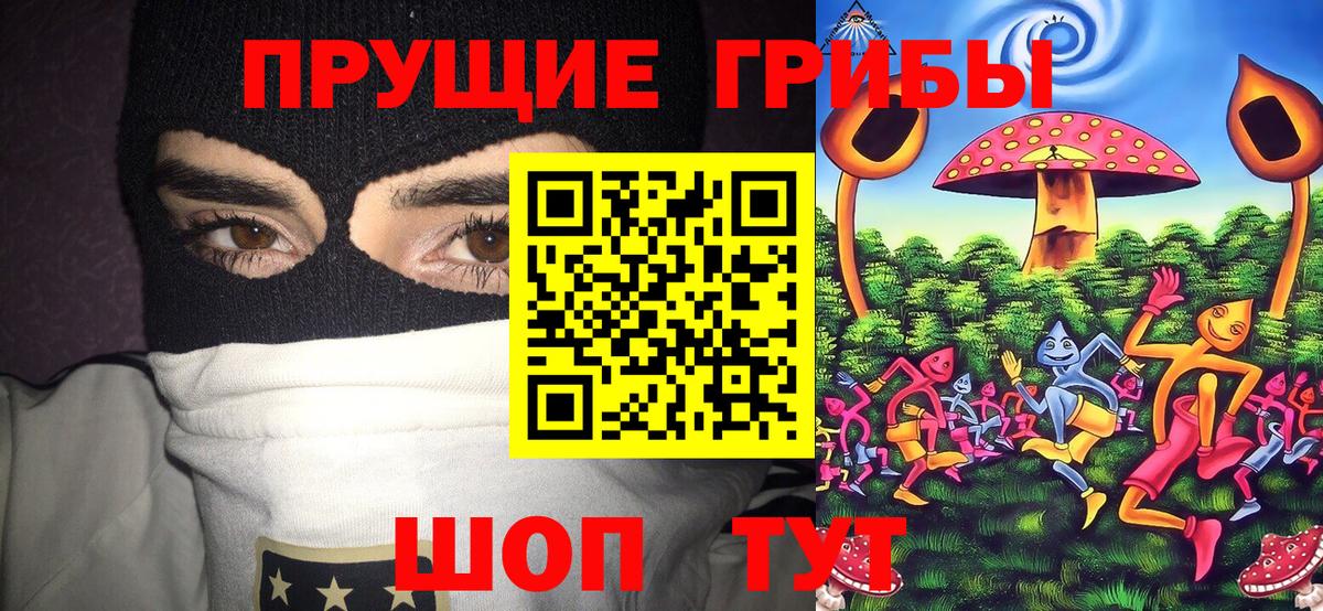 Галлюциногенные грибы Magic Shrooms  Вход с VPN  Прохладный  Галлюциногенные грибы Magic Shrooms 